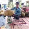 sonduong9353