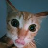 vann_3245