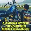 aryaricky636