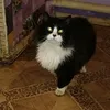 mak_uz0