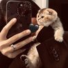 _aliev_a03