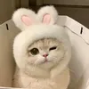 clennemy