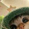 mochi_ih