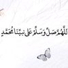waelmahamed15