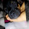 yuyis25042311