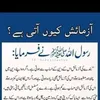 afghanpashtoon313