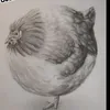 majczel._