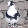 userjhbpvh25cf