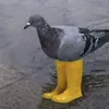 golomppozdro