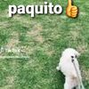 bluxiysolecita