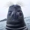 when._the