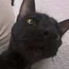 sebastian_maba