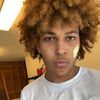 nollielazarflipz