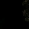 uiuitomale