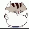dy1drxwkgj2i