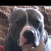 truthdesigner62