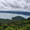 guayabo219