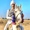 chshujahatali