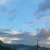 pingpig7676