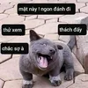 vietquang_2002