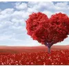 phuong__.anh