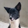 sleeprepeatagain