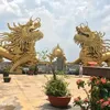 taohan43