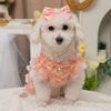 dior.thepoodle