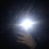 not_alex_22