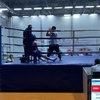 arman.boxing