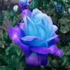 leah_lucky9