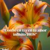 user8001158818512