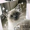 ana_manusia6