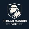 berkah_mandirifarm