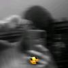 udas_lrka.46