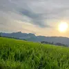 perititubukannpilihan