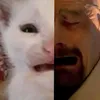 djcu_4u