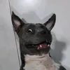 aeiouxyz12