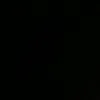 luane_334