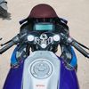 rega_0211