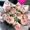 denisadeni026