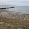 jo_mills06