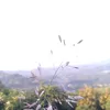 zrtakd