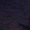 gabutt_n