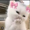 pookiee288