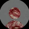 laraahadassaa