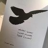 saril12icloud.com0