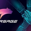 bd.forsage.io.id.creator