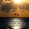 willymar_489
