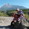 tree_ana